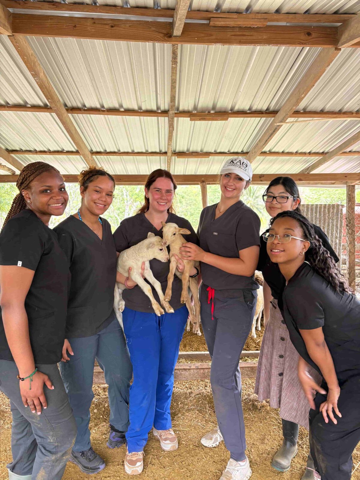Six students in an outdoor pavilion, with one holding two baby sheep.