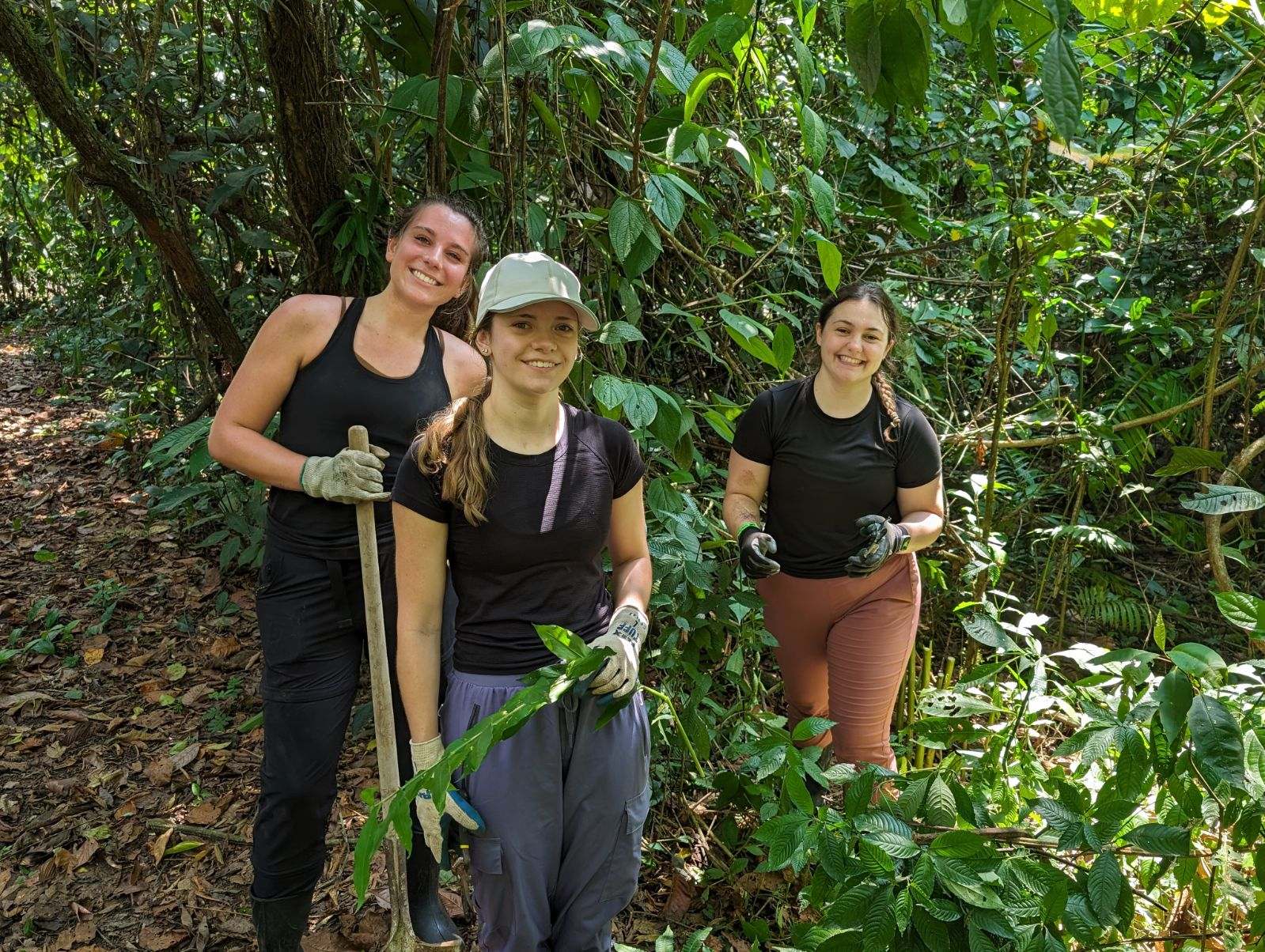 Three students wearing work-gloves, working outside in wooded area.