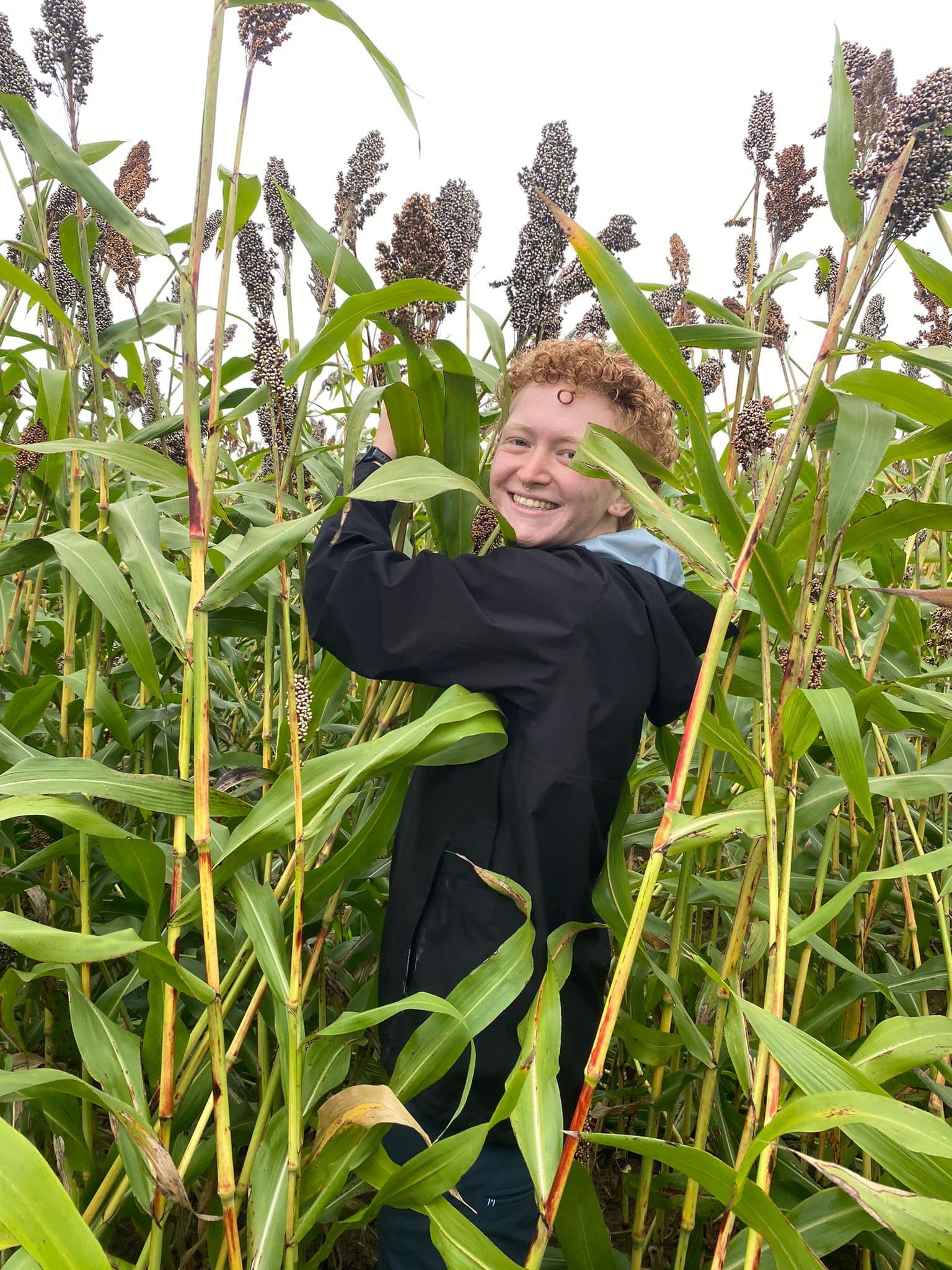 A student standing in an agricultural field with very tall plants surrounding him. He is smiling at the camera.