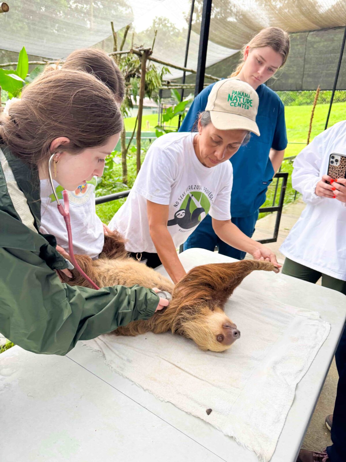 Students and individuals gathered around a sloth on a table.