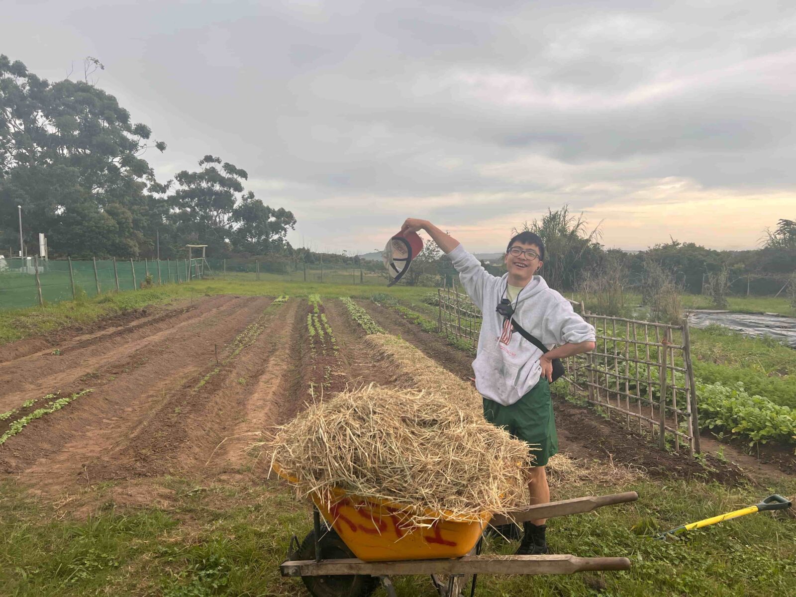 In front of a garden patch, a young man stands next to a wheelbarrow, full with dry weed mulch, holding his hat in the air.